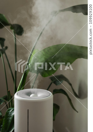 Ultrasonic diffuser, air purifier, humidifier releases stream of cold steam room for proper houseplant growth. Care hydration of plants in dry air. Aroma oil steam aromatherapy. Body health treatment 109929100
