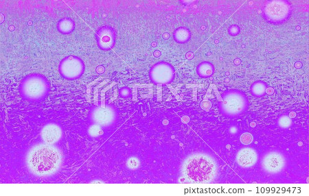 Purple abstract background banner, with copy space for text or your images Purple abstract background banner, with copy space for text or your images 109929473