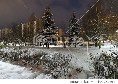 Winter cityscape with and snow-covered fir trees in Moscow, Russia 109929868