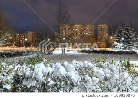 Winter cityscape with multi-storey residential buildings and snow-covered fir trees in Moscow, Russia 109929870