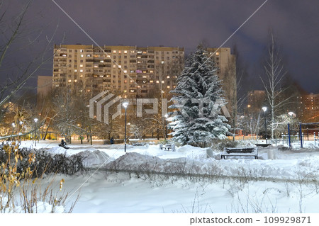 Winter cityscape with multi-storey residential buildings and snow-covered fir trees in Moscow, Russia 109929871