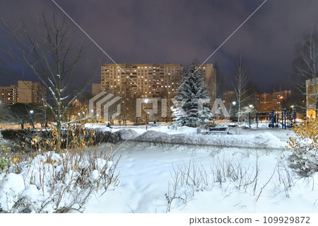 Winter cityscape with multi-storey residential buildings and snow-covered fir trees in Moscow, Russia 109929872