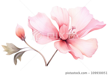 a pink flower is shown on a transparent background 109930051