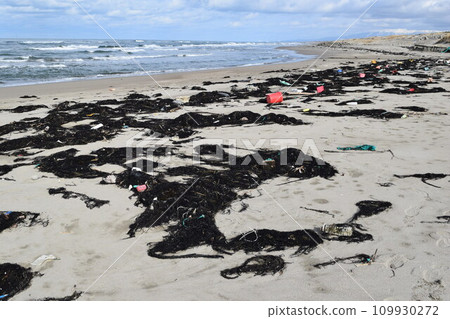 Seaweed and garbage on the seashore Floats on the coast Seaweed and garbage on the seashore Floats on the coast 109930272