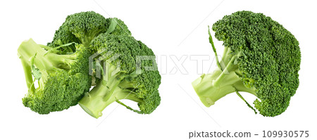 fresh broccoli isolated on white background close-up with full depth of field. fresh broccoli isolated on white background close-up with full depth of field. 109930575