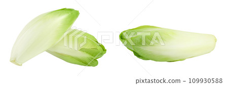 Chicory salad isolated on white background with  full depth of field. 109930588