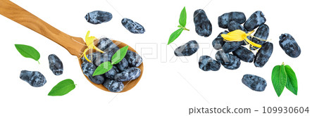 Fresh honeysuckle blue berry in wooden spoon isolated on white background with full depth of field. Top view. Flat lay. 109930604