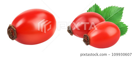 Rose hip isolated on a white background with full depth of field Rose hip isolated on a white background with full depth of field 109930607