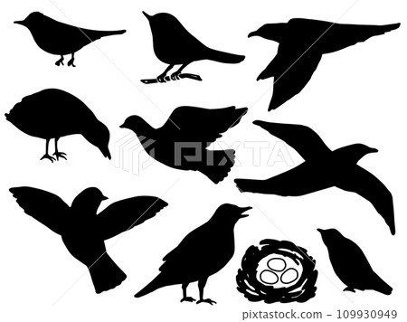 鳥剪影插圖集 鳥剪影插圖集 109930949