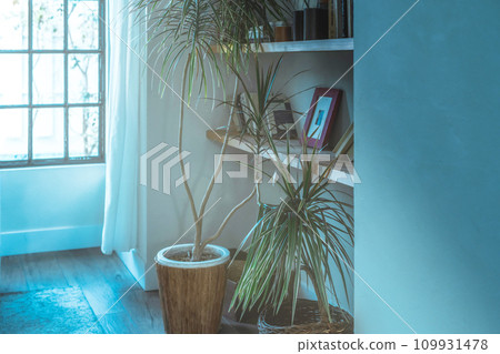 時尚房間的內部 109931478