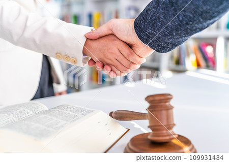 Men and women shaking hands: business 109931484