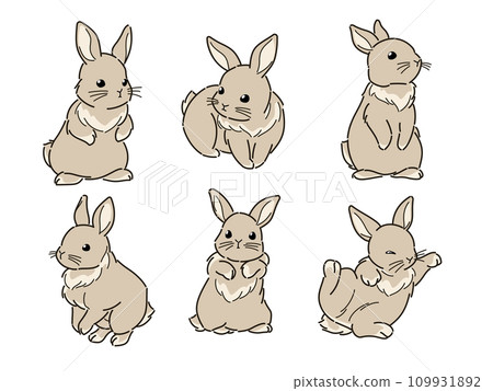 各種各樣的兔子插圖 109931892