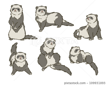 Assortment of ferret illustrations - Stock Illustration [109931893