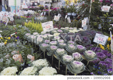 葉子按鈕冬季花店 葉子按鈕冬季花店 109932008