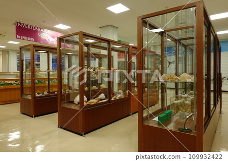 Tokyo University of Marine Science and Technology Marine Science Museum 109932422