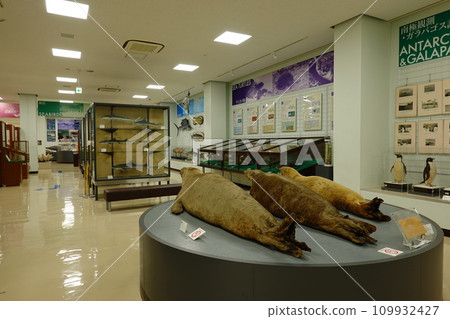 東京海洋科技大學海洋科學館 109932427