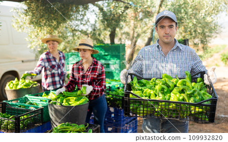 Smiling man farmer holding crate of green pepper Smiling man farmer holding crate of green pepper 109932820