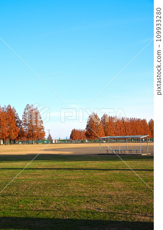 初冬的場景 大宮健康保險場 埼玉市 109933280