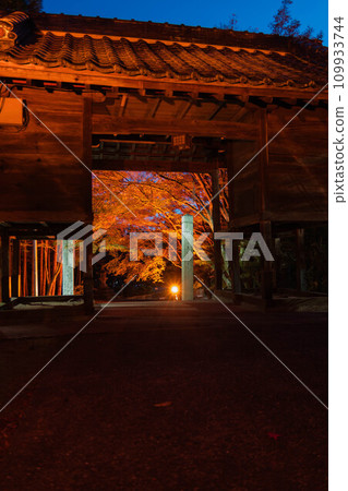 Hiroshima Prefecture, Fuchu City, Fuchu Hachiman Shrine Light-up Hiroshima Prefecture, Fuchu City, Fuchu Hachiman Shrine Light-up 109933744