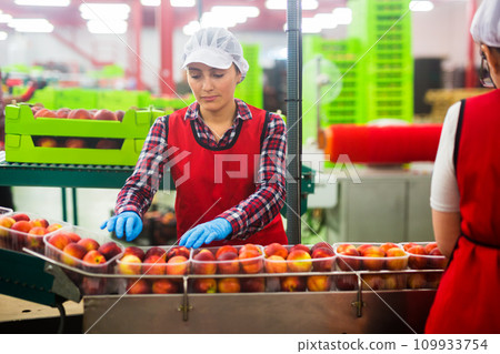 Latina female sorting peaches at fruits warehouse 109933754