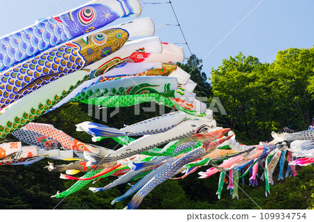 Spring Kanna Carp Streamer Festival in Kanna-cho, Gunma Prefecture Spring Kanna Carp Streamer Festival in Kanna-cho, Gunma Prefecture 109934754