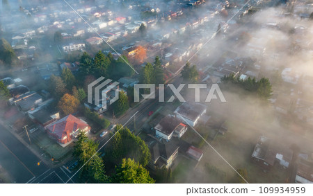 Neighborhood streets and homes covered in fog. 109934959