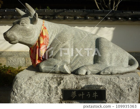 A dream-come-true cow at Hofu Tenmangu Shrine 109935363