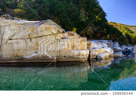 睡覺的地板景觀 109936544