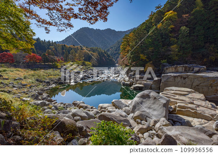 睡覺的地板景觀 109936556