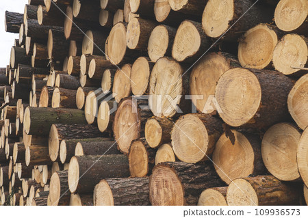 deforestation for roads, wood harvesting, wood as a renewable biological resource, deforestation area for highways, construction of toll roads, land acquisition for the construction of a major road deforestation for roads, wood harvesting, wood as a renewable biological resource, deforestation area for highways, construction of toll roads, land acquisition for the construction of a major road 109936573