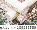 make a log wooden house, Create houses from ethnic logs in the open air, a wooden log cabin. 109936589