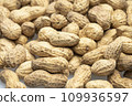 inshell peanuts close-up, organic peanuts, top view, selective focus. background image 109936597