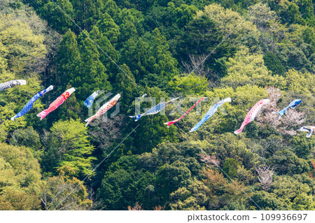 靜岡縣島田市川根町家山櫻花隧道及週邊風景 靜岡縣島田市川根町家山櫻花隧道及週邊風景 109936697