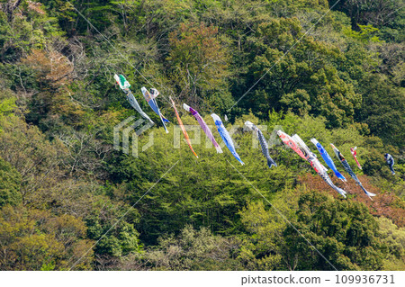 靜岡縣島田市川根町家山櫻花隧道及週邊風景 靜岡縣島田市川根町家山櫻花隧道及週邊風景 109936731