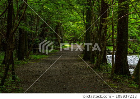 靜岡縣守知郡森町一宮市 奧國神社及其轄區 109937218