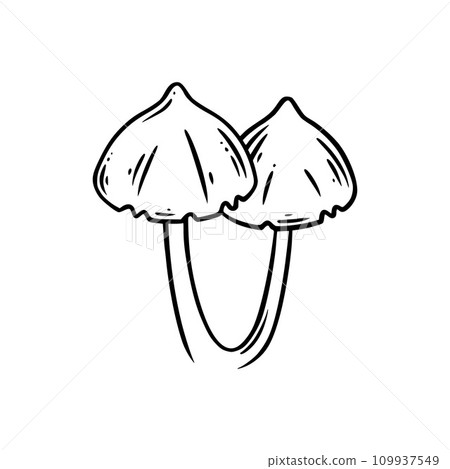 Poison mushrooms. Psychedelic mushrooms for wicca rituals. Vector illustration 109937549