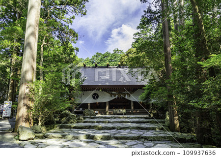 Tsubaki Grand Shrine, Suzuka City, Mie Prefecture Tsubaki Grand Shrine, Suzuka City, Mie Prefecture 109937636