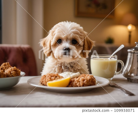 Glamorous dog having breakfast in a cafe. Glamorous dog having breakfast in a cafe. 109938071