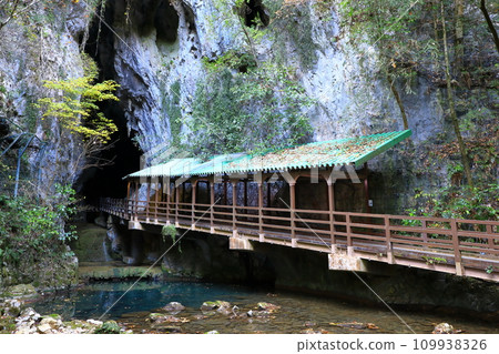 特殊天然紀念物秋芳堂 特殊天然紀念物秋芳堂 109938326