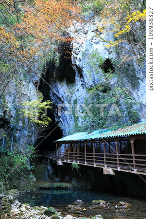 特殊天然紀念物秋芳堂 109938327