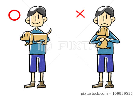 Illustration of the correct and incorrect way to hold a dog Illustration of the correct and incorrect way to hold a dog 109939535