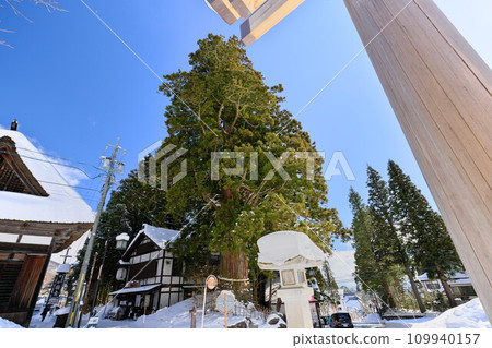 Shinshu winter view of Togakushi Chusha sacred tree Sanbonsugi through the single torii gate Shinshu winter view of Togakushi Chusha sacred tree Sanbonsugi through the single torii gate 109940157