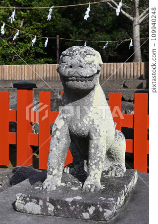 鶴岡八幡宮，本殿石階下的守護犬，鵜鶘方 109940248