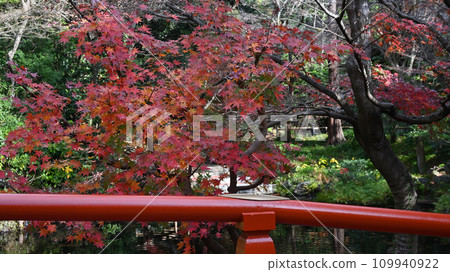 鶴岡八幡宮、柳原神池上的橋 109940922
