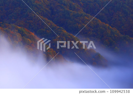 Oshu City, Iwate Prefecture, dawn scenery 109942538