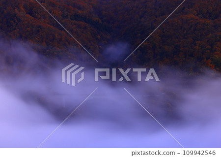 Oshu City, Iwate Prefecture, dawn scenery 109942546