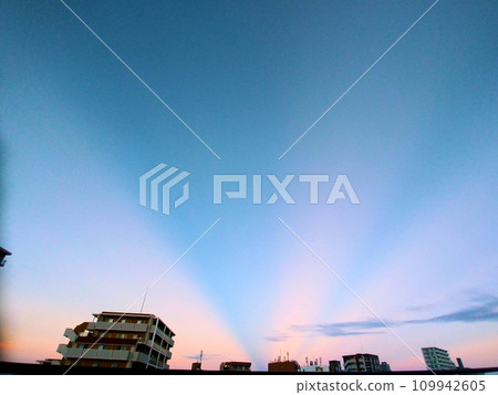 A mysterious view of anti-crepuscular rays that appeared in the eastern sky of Tokyo 109942605
