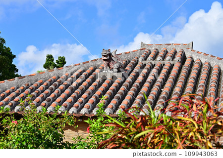 竹富島琉球紅瓦屋頂和Shisa 竹富島琉球紅瓦屋頂和Shisa 109943063