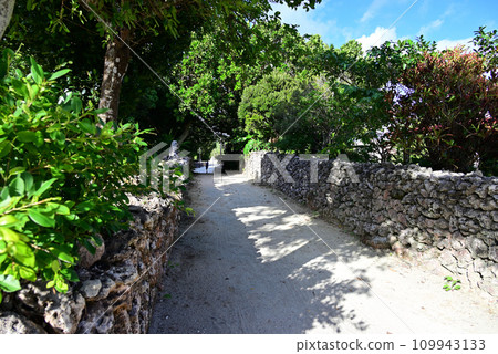 Taketomi Island Coral stone wall and white sand road 109943133