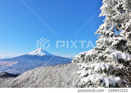 Yamanashi Prefecture, Mt. Fuji in winter 109943352